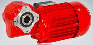 single-phase electric gearmotor / three-phase / orthogonal / worm