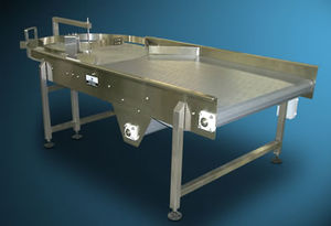 belt conveyor / accumulation / horizontal / transport