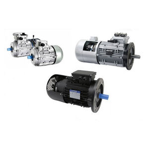 AC motor / three-phase / asynchronous / 380 V