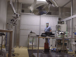 horizontal laminar flow booth