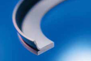 piston seal / shaft / PTFE / radial