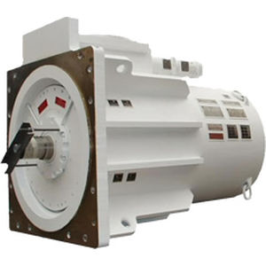 AC motor / asynchronous / 60 V / IP55