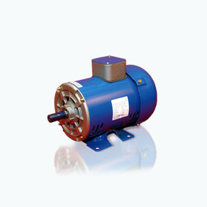 4-pole motor / three-phase / 100 V