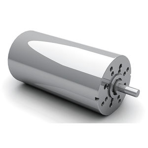 DC motor / brushed / 24V / 12V