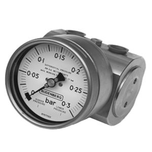 dial pressure gauge / bellows / differential / process