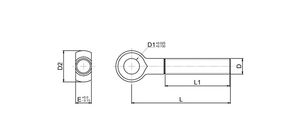 stainless steel bolt / with eye