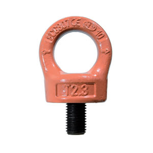 threaded hoist ring