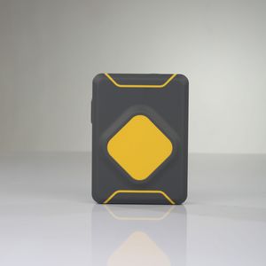 portable mapping system