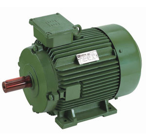AC motor / three-phase / 70V / energy-saving
