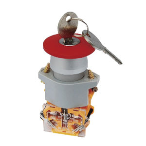 key lock switch / multipole / nickel alloy contact / with silver contacts
