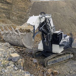 large excavator / crawler / mining / diesel