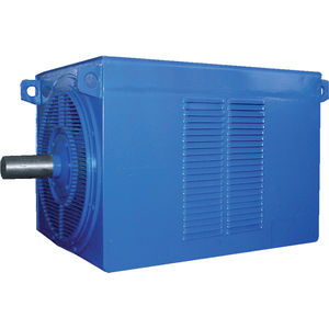 asynchronous motor / high-voltage / squirrel cage / three-phase