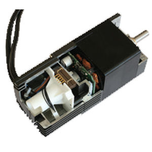 DC motor / brushless / 60V / with speed controller