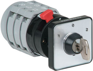 key lock switch / cam / multipolar / polyamide