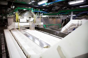belt conveyor / for the food industry / stainless steel / sturdy