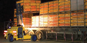 forklift with combustion engine / ride-on / industrial / compact