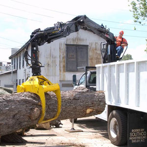 telescopic crane / boom / loading / forestry