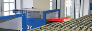 handling rail guided vehicle / for books / sorting