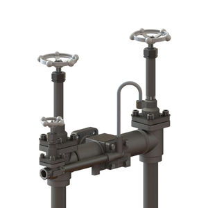 multi-valve manifold / stainless steel