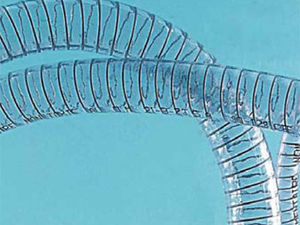 water hoses / foodstuffs / discharge / suction