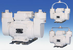 gas pump / electric / bellows / PTFE