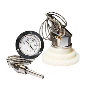gas expansion with capillary thermometer / dial / flange / with external sensor
