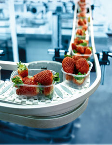 chain conveyor / for the food industry / horizontal / transport