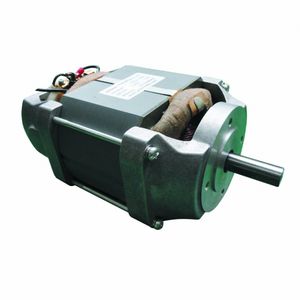 universal motor / DC / 220 V / high-voltage