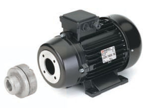 AC motor / three-phase / asynchronous / 340V