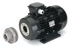 AC motor / three-phase / asynchronous / 320V