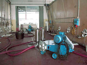 chemical pump / electric / piston