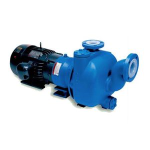 electric pump / self-priming / centrifugal / seal-less