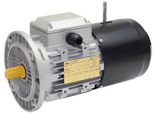 AC electric brake motor / three-phase / asynchronous / 100V