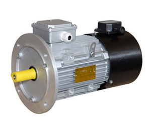 AC motor / three-phase / asynchronous / 50V