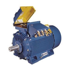 low-voltage motor / industrial / air-cooled