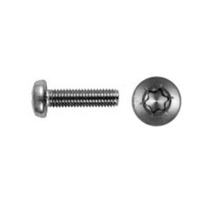 pan head screw / six-lobe