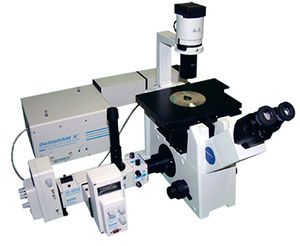 fluorescence microscope / measurement / high-speed