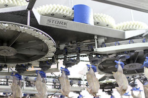 multihead weighing machine / for the food industry / high-speed