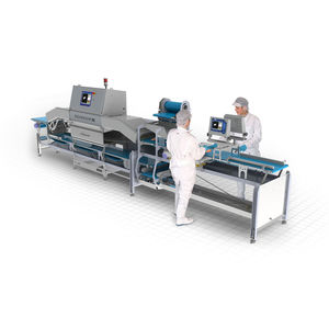 particle detector / inspection / for food