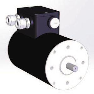 DC motor / brushless / 48V / 8-pole