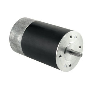 direct current motor / synchronous / 12V / 2-pole