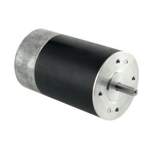 direct current motor / synchronous / 12V / 2-pole