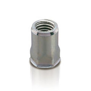 hexagonal nut / blind rivet / steel
