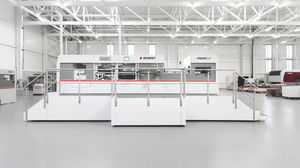 paper cutting machine / for plastics / die
