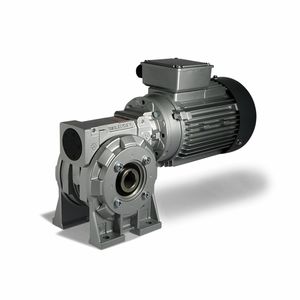 AC electric gearmotor / right-angle / worm / hollow-shaft