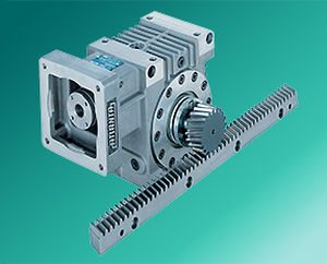 straight-toothed sprocket wheel / shaft / worm
