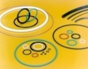 O-ring seal / elastomer / rod
