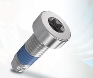 cylindrical head screw / safety / joining