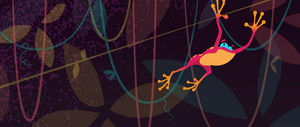 creation software / animation