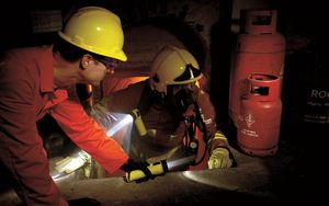 LED flashlight / for hazardous areas / explosion-proof